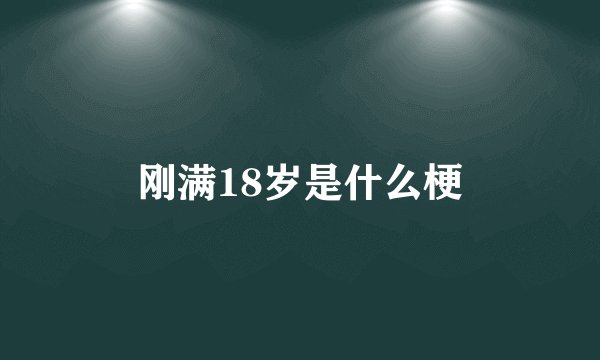 刚满18岁是什么梗