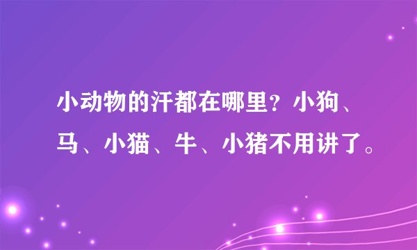 小动物的汗都在哪里？小狗、马、小猫、牛、小猪不用讲了。