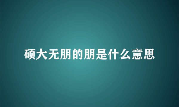 硕大无朋的朋是什么意思