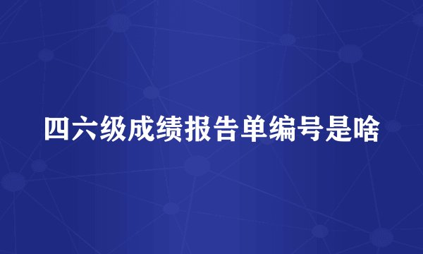 四六级成绩报告单编号是啥