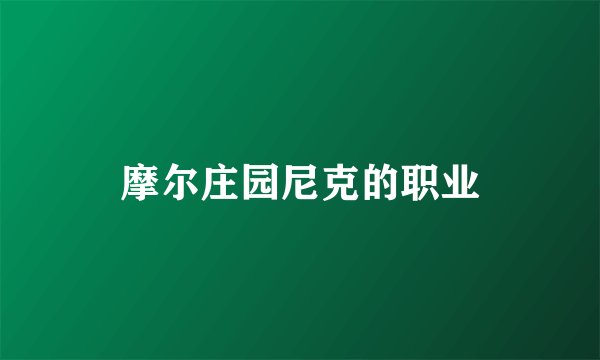 摩尔庄园尼克的职业