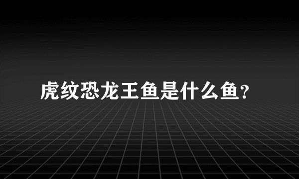 虎纹恐龙王鱼是什么鱼？