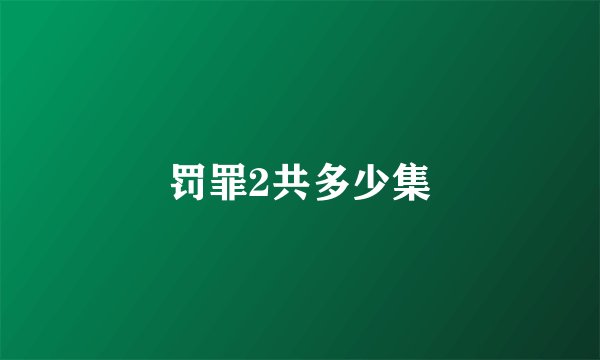 罚罪2共多少集