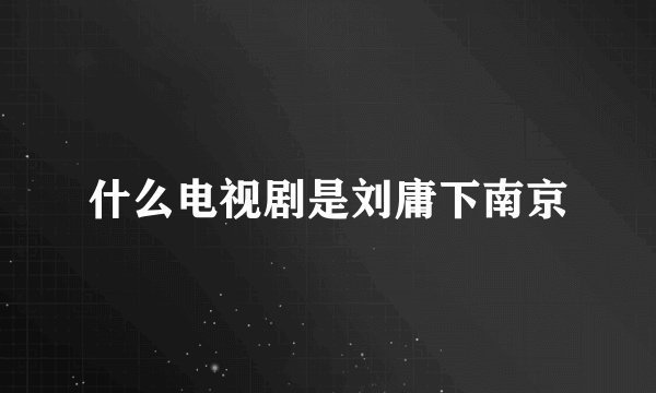 什么电视剧是刘庸下南京