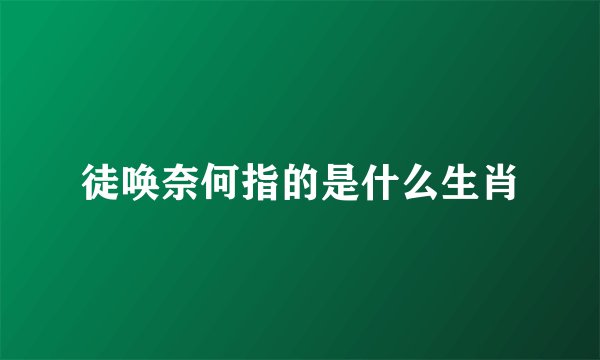 徒唤奈何指的是什么生肖