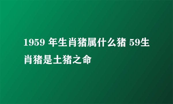 1959 年生肖猪属什么猪 59生肖猪是土猪之命