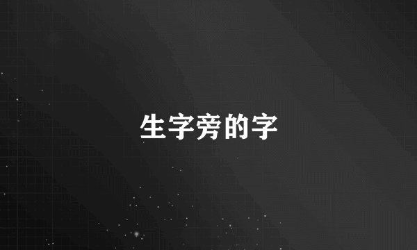 生字旁的字