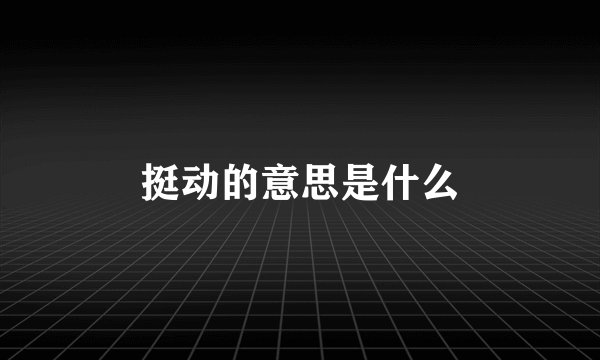挺动的意思是什么
