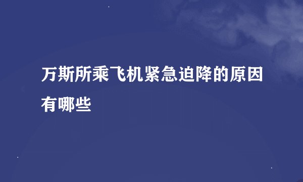 万斯所乘飞机紧急迫降的原因有哪些