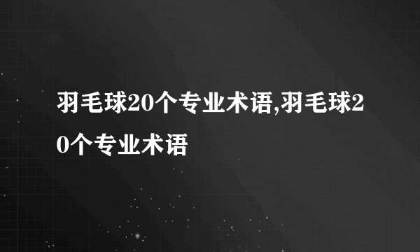 羽毛球20个专业术语,羽毛球20个专业术语