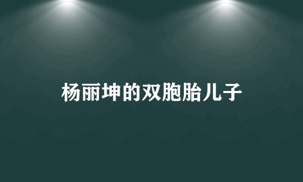 杨丽坤的双胞胎儿子
