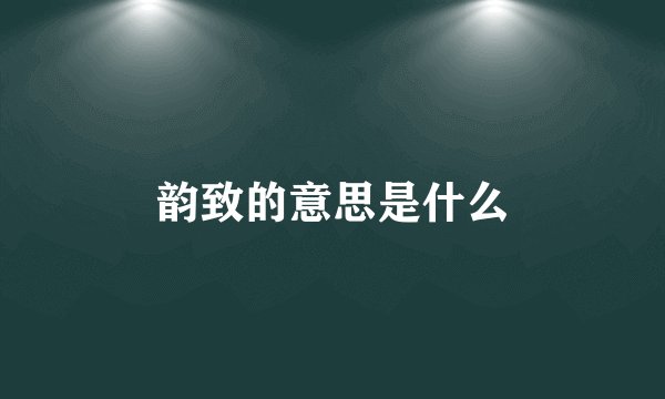 韵致的意思是什么