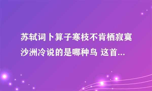 苏轼词卜算子寒枝不肯栖寂寞沙洲冷说的是哪种鸟 这首词写出了什么