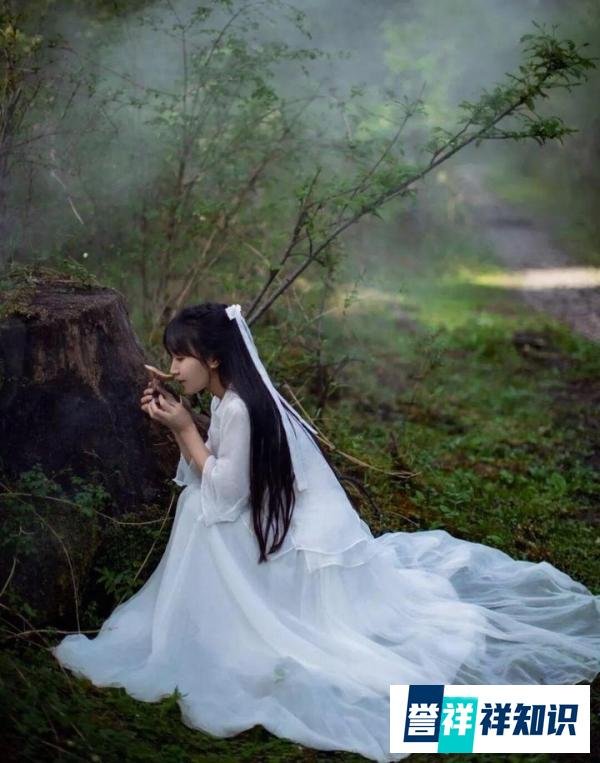 她是国内第一网红,停更数月曾对资本表示宣泄,如今获得央视力挺