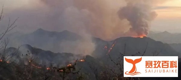 汶川地震中被人救出,14年后他牺牲在森林火灾救援现场……