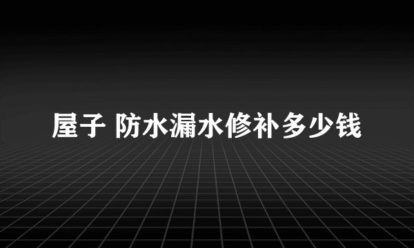 屋子 防水漏水修补多少钱