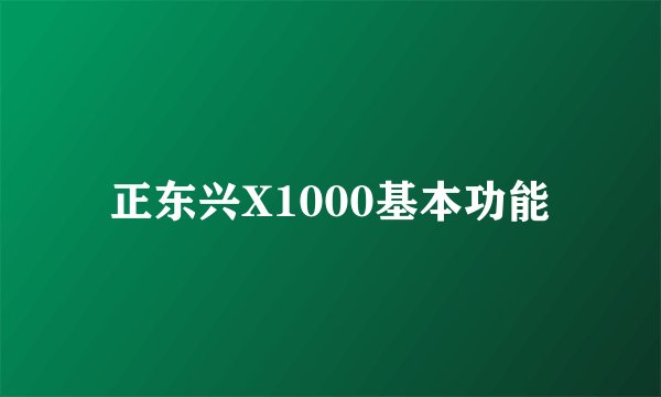 正东兴X1000基本功能