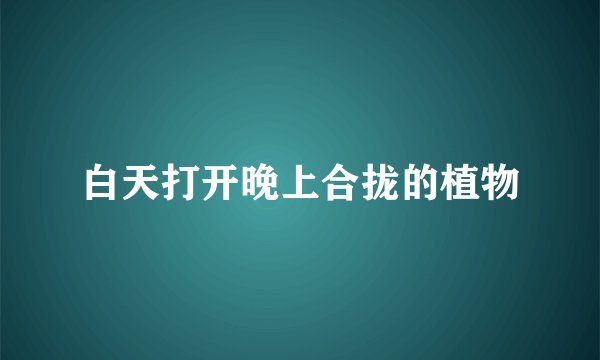 白天打开晚上合拢的植物
