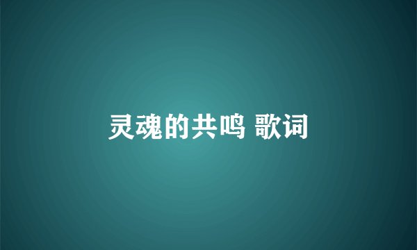 灵魂的共鸣 歌词