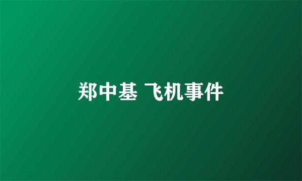 郑中基 飞机事件