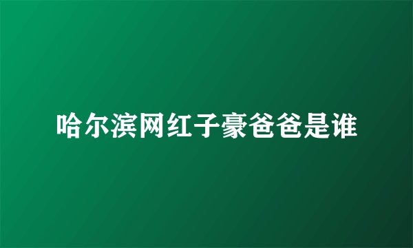 哈尔滨网红子豪爸爸是谁