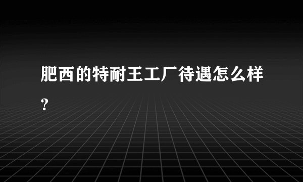 肥西的特耐王工厂待遇怎么样?
