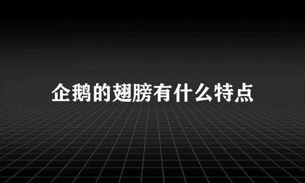 企鹅的翅膀有什么特点