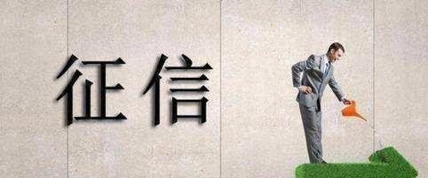 上学要出示“工资流水”！幼儿园为何查父母？征信和教育挂钩