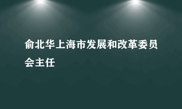 俞北华上海市发展和改革委员会主任