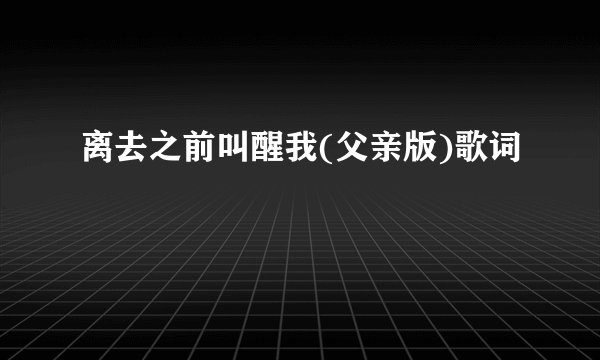 离去之前叫醒我(父亲版)歌词