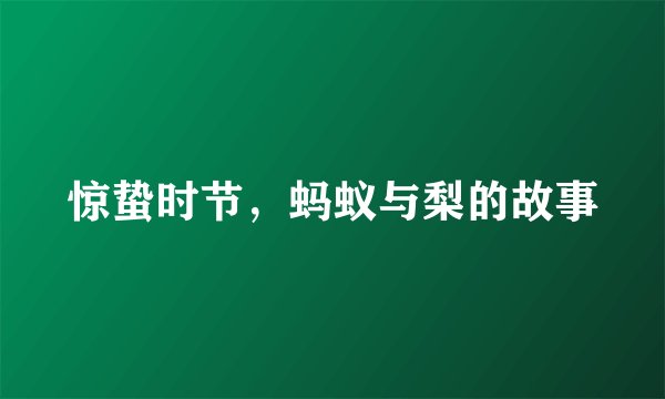 惊蛰时节，蚂蚁与梨的故事