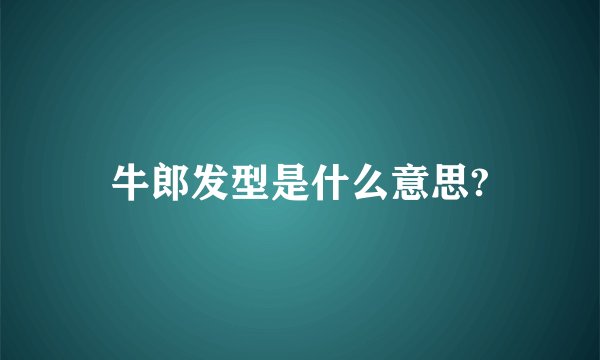 牛郎发型是什么意思?