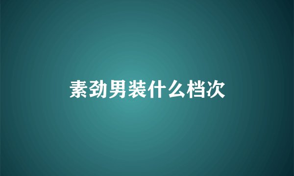 素劲男装什么档次