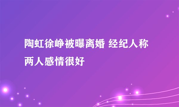 陶虹徐峥被曝离婚 经纪人称两人感情很好