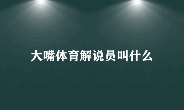 大嘴体育解说员叫什么