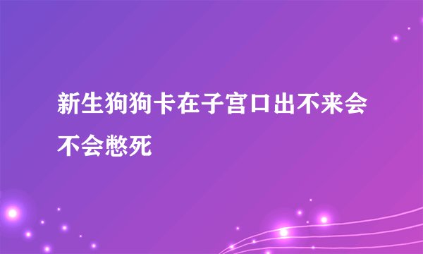 新生狗狗卡在子宫口出不来会不会憋死