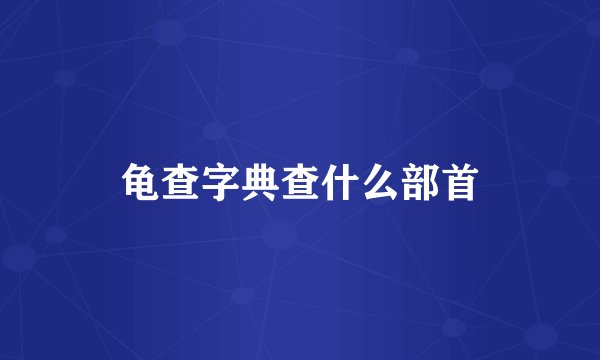 龟查字典查什么部首