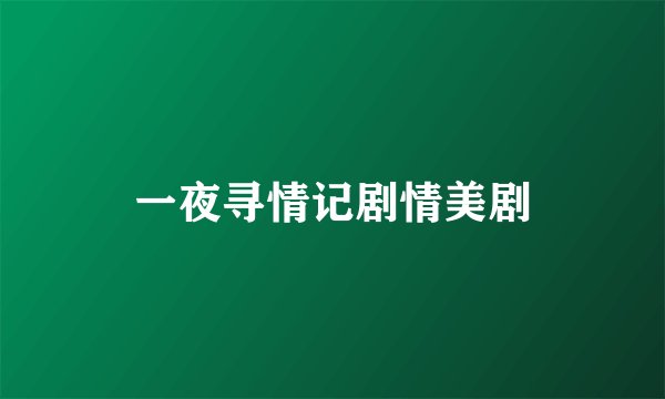 一夜寻情记剧情美剧