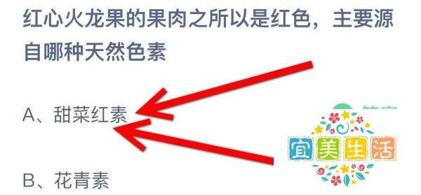 蚂蚁庄园今日最新答案9月13日（文字版）