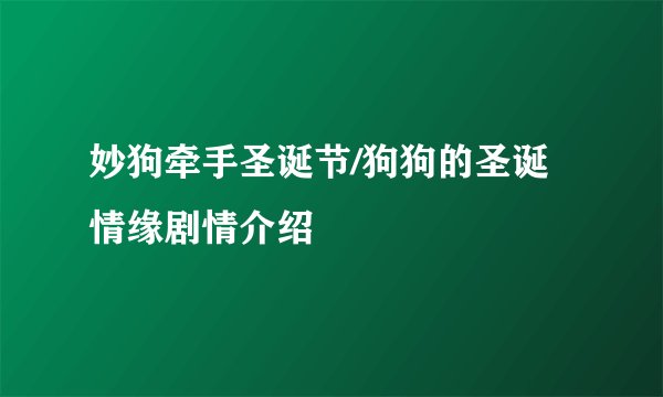 妙狗牵手圣诞节/狗狗的圣诞情缘剧情介绍