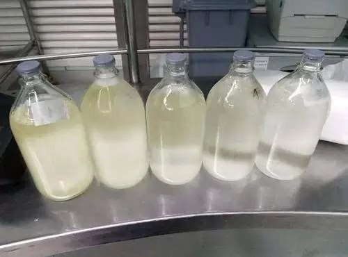 罕见！男子肺里洗出17升“牛奶”样液体，这液体究竟是什么物质？