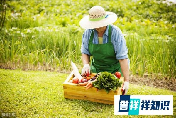 2020年创业哪个行业前景好?推荐这六个行业