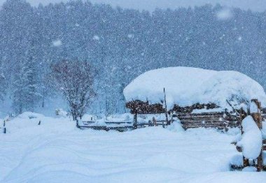湖南16个县市区出现暴雪,此次冷空气对当地造成了什么影响?
