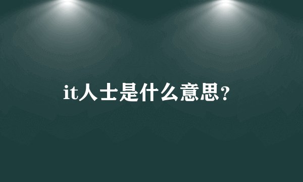it人士是什么意思？