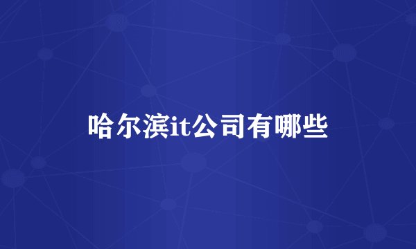 哈尔滨it公司有哪些