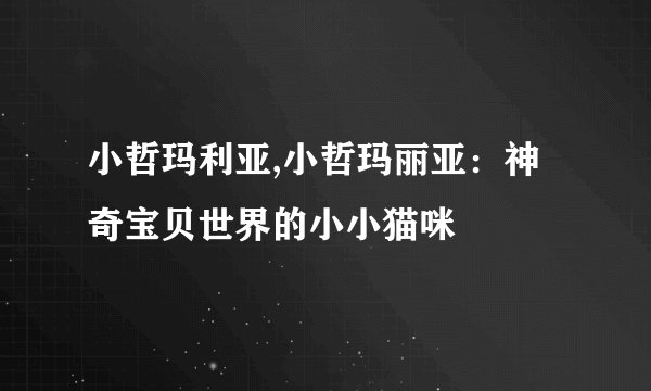 小哲玛利亚,小哲玛丽亚：神奇宝贝世界的小小猫咪