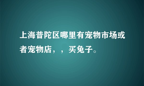 上海普陀区哪里有宠物市场或者宠物店，，买兔子。