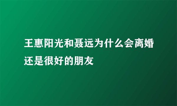 王惠阳光和聂远为什么会离婚还是很好的朋友