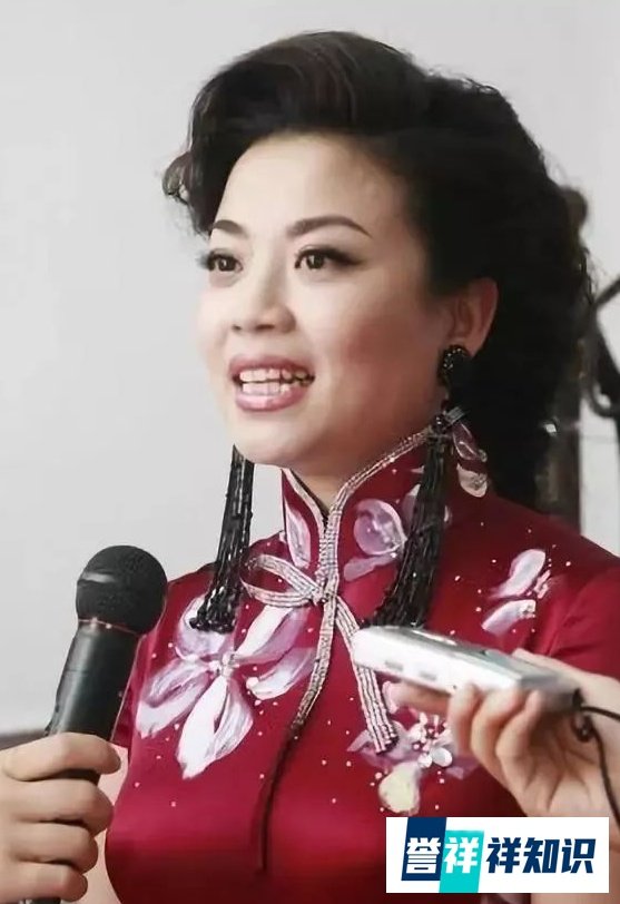 同样红遍大江南北,与张也不同的是,她却锒铛入狱,并且原因未知
