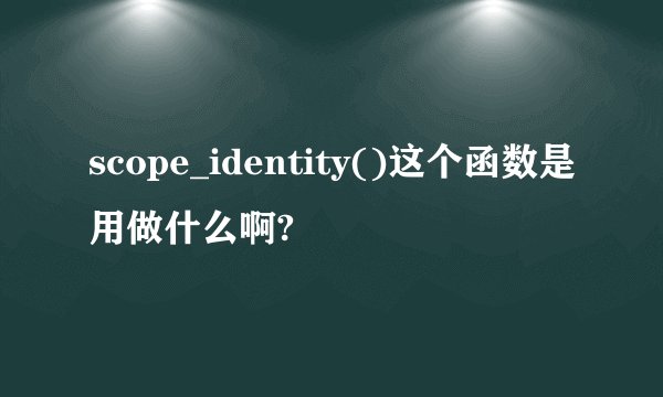 scope_identity()这个函数是用做什么啊?